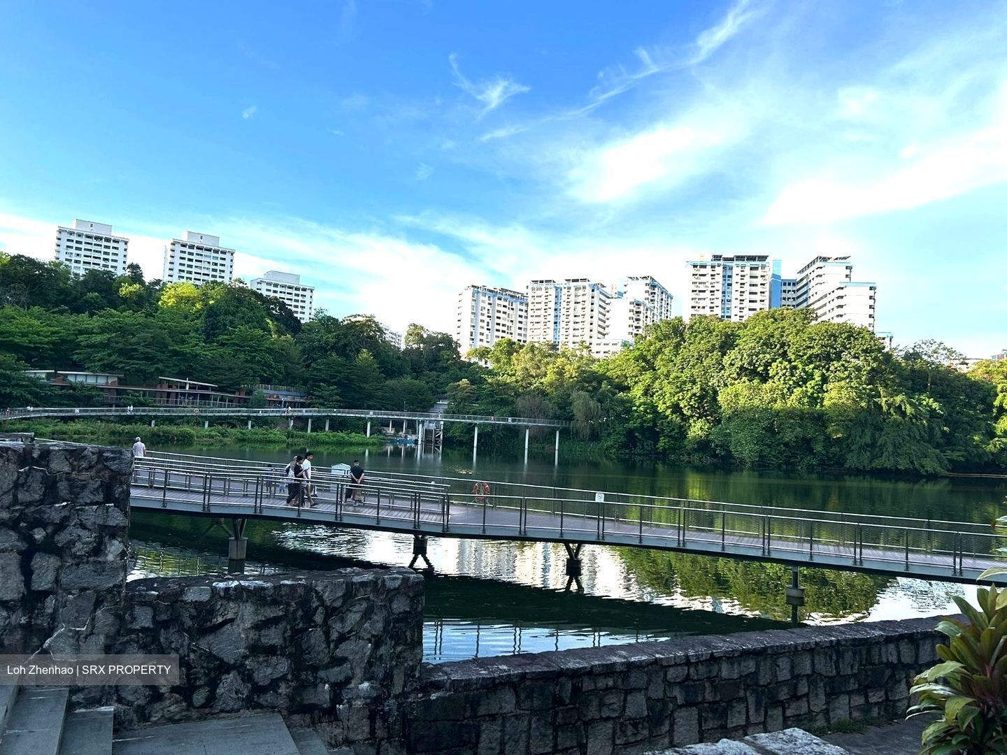Blk 543 Panshan Grove (Bukit Panjang), HDB Executive #550814471